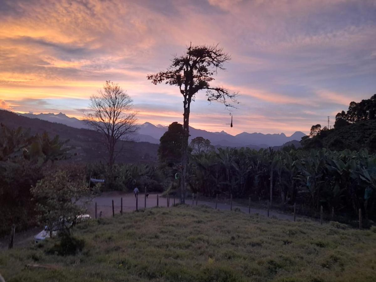 Hotel Vista Farallones Jardín Eksteriør billede