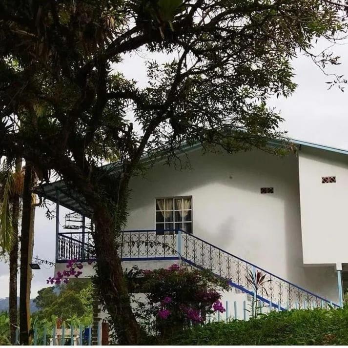 Hotel Vista Farallones Jardín Eksteriør billede